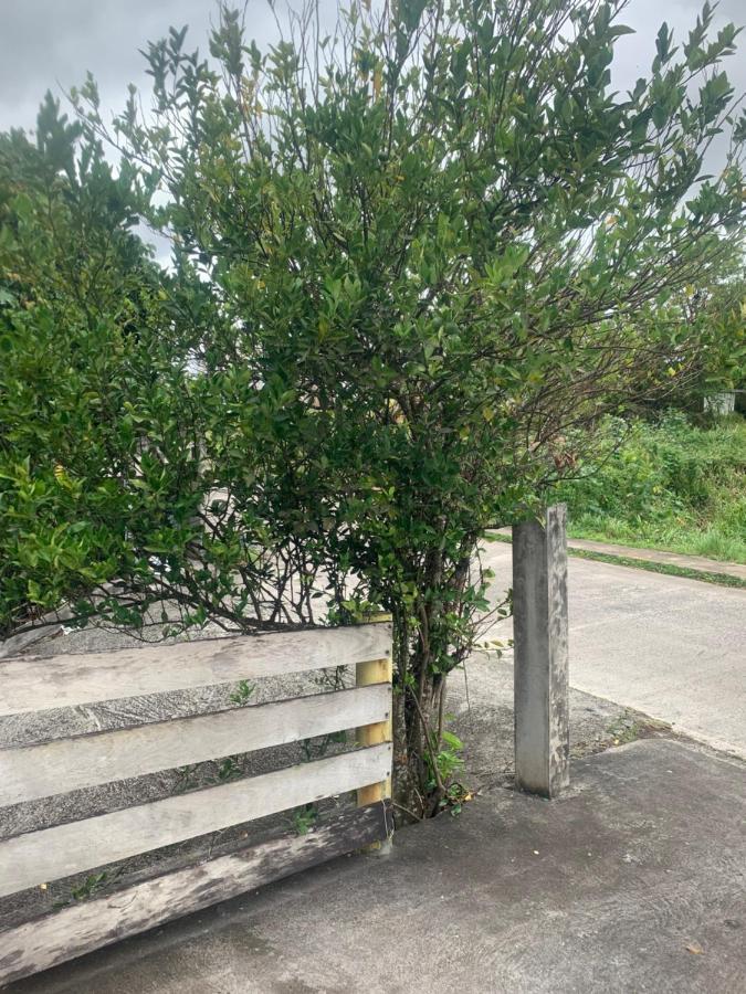 DucosCaraibes Loc公寓 外观 照片